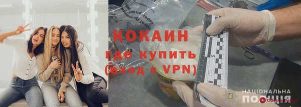 крисы Алексин