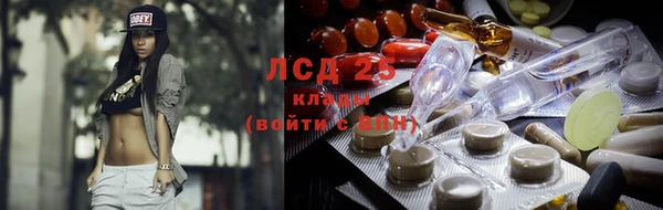 крисы Алексин