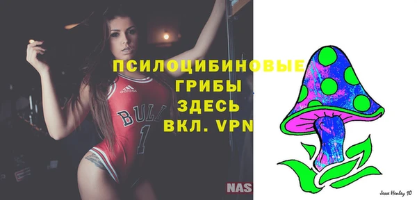 крисы Алексин