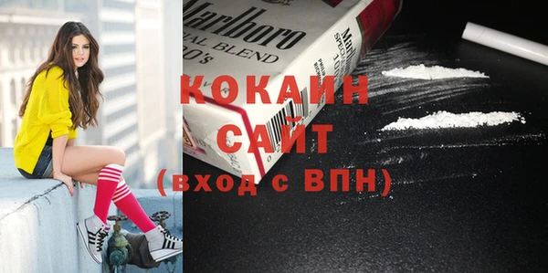 крисы Алексин