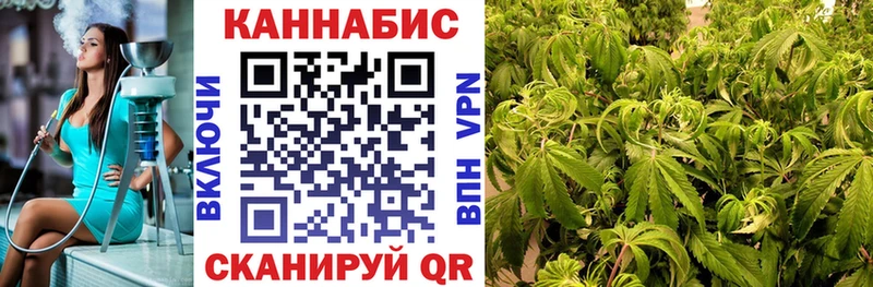 Канабис гибрид закладки Петровск